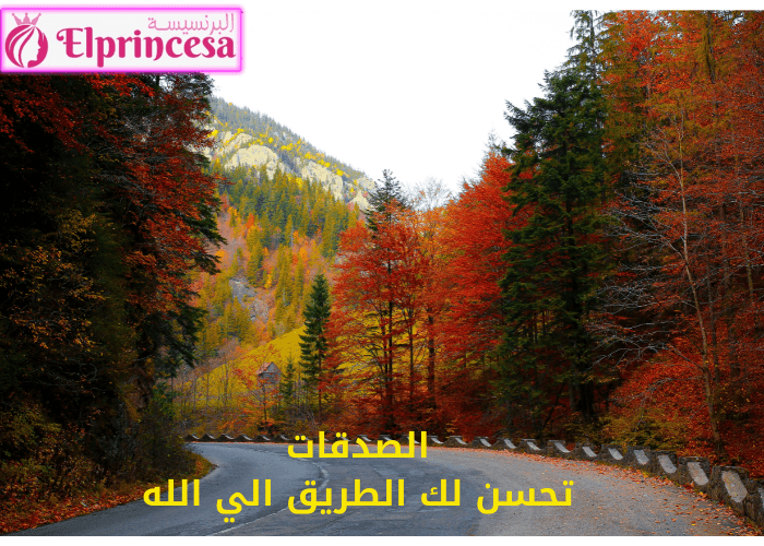 فضل الصدقة في الاسلام