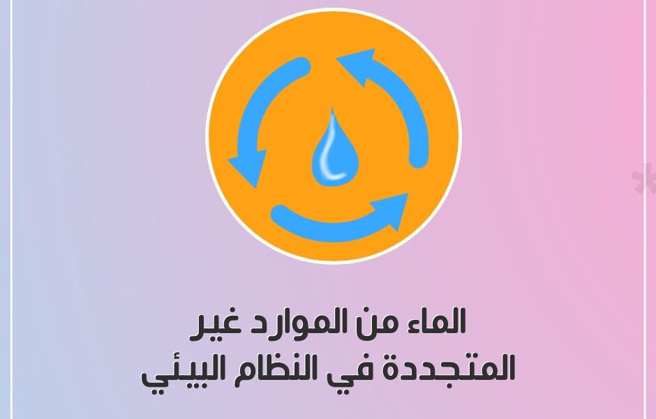 النظام البيئي